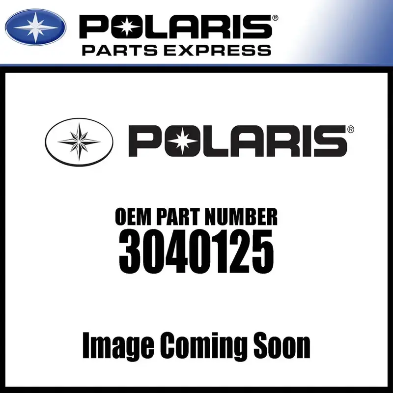 NEW GENUINE POLARIS OIL PUMP ASSEMBLY RANGER DIESEL BRUTUS 3040125 NEW OEM