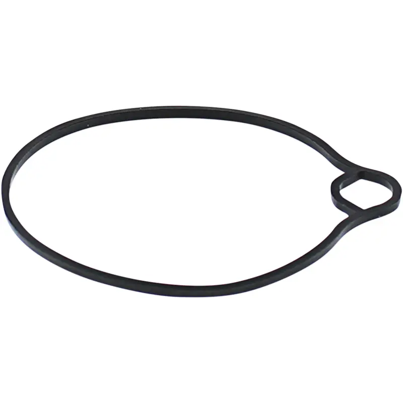 Replacement Float Bowl Gasket