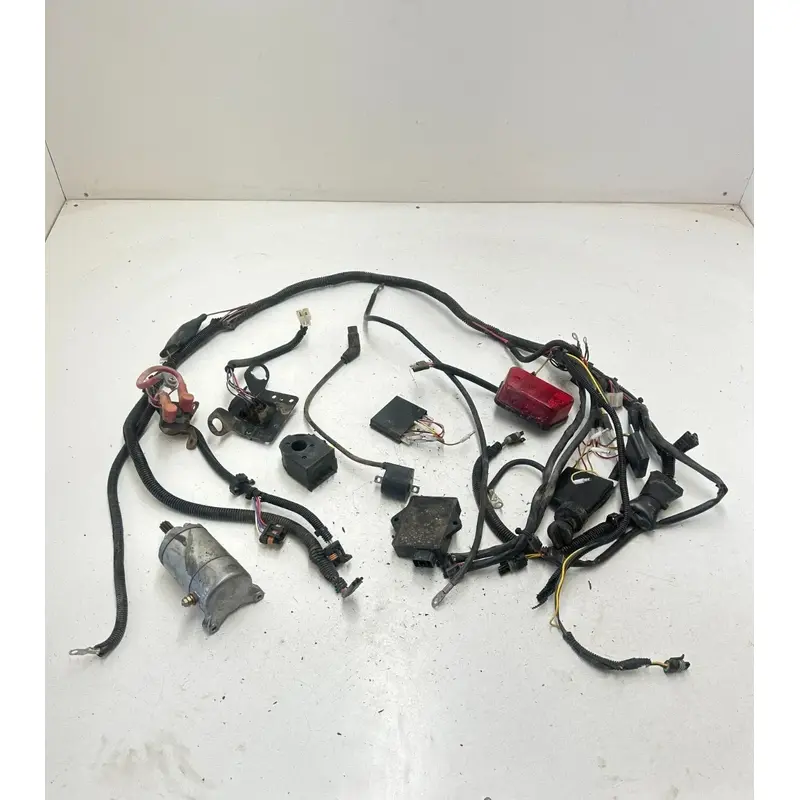 2000 Polaris Magnum 325 4x4 OEM LOT Wiring Harness Loom Plug Coil ECU CDI Starte