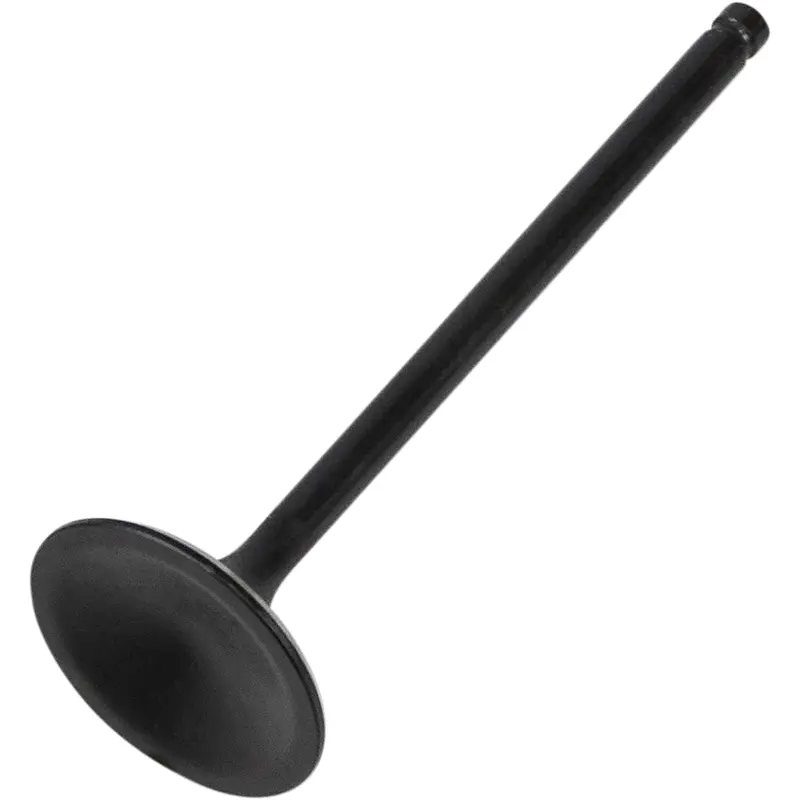 Black Diamond Engine Valve