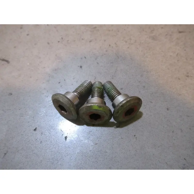 Honda TRX 250X Brake Disc Screw Set 1991