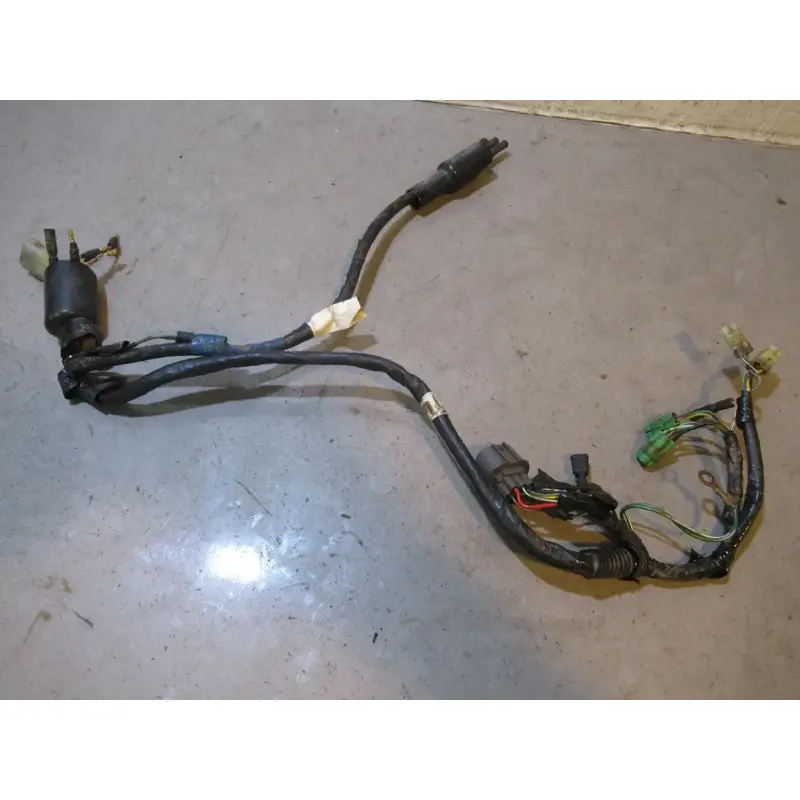 Honda TRX 300 Harness 2001 #2