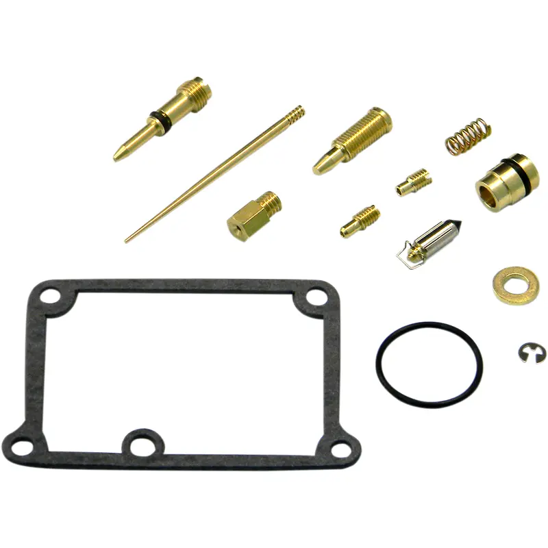 Carburetor Repair Kit