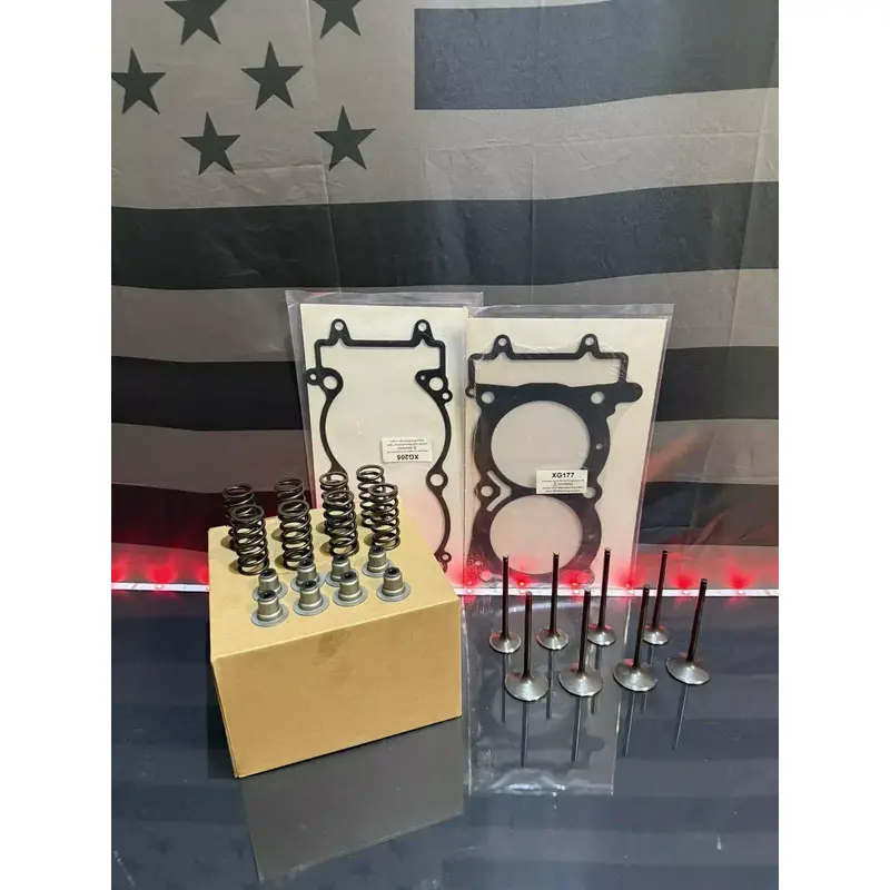 Polaris 16-19 Ace 900 - Valves / Springs / Gaskets
