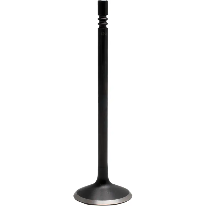 Black Diamond Engine Valve