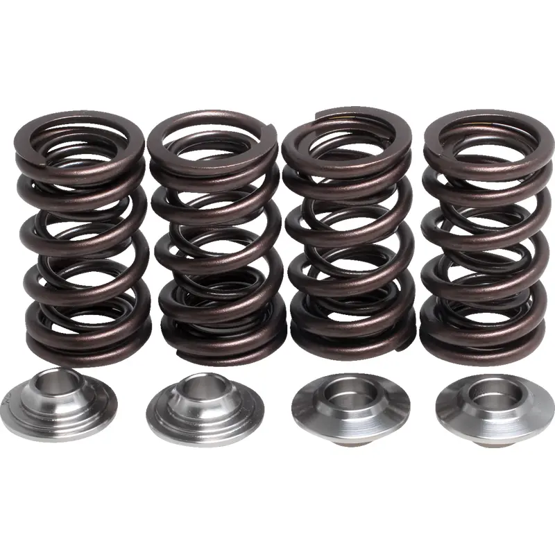 Lightweight Racing Valve Spring Kit