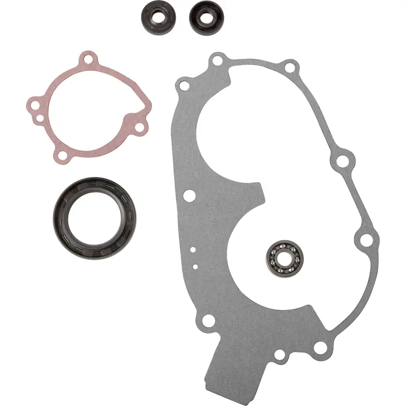Water Pump Rebuild Kit