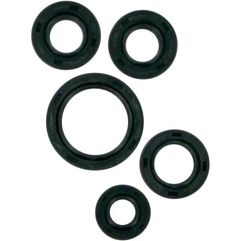 Motor Oil Seals