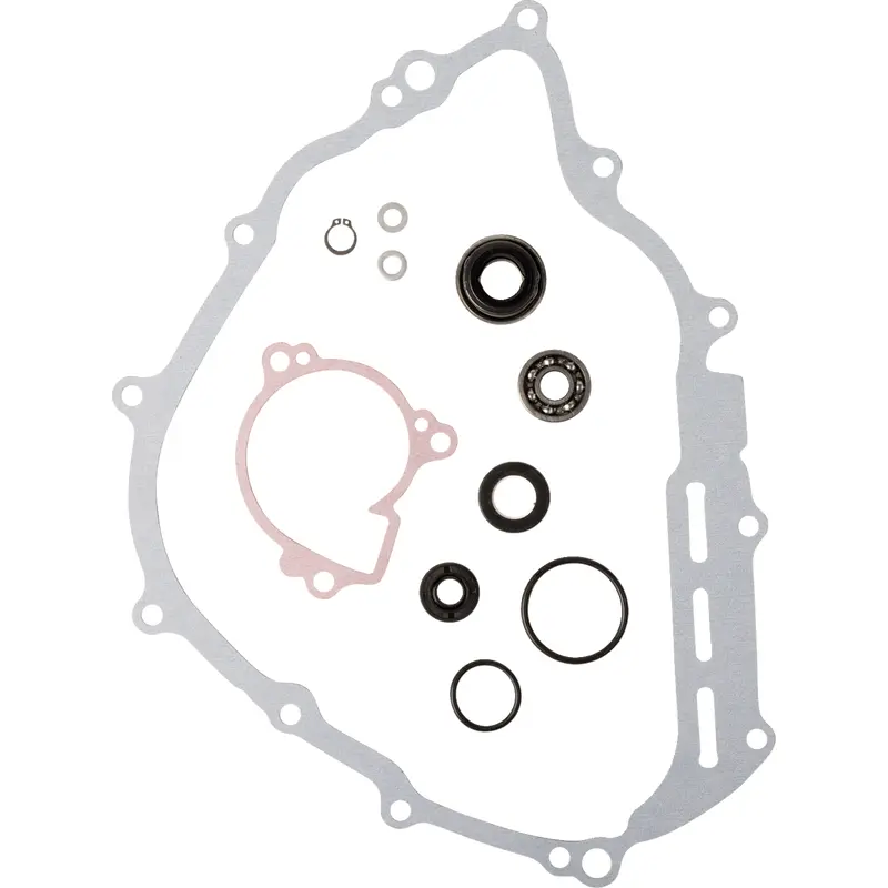 Water Pump Rebuild Kit