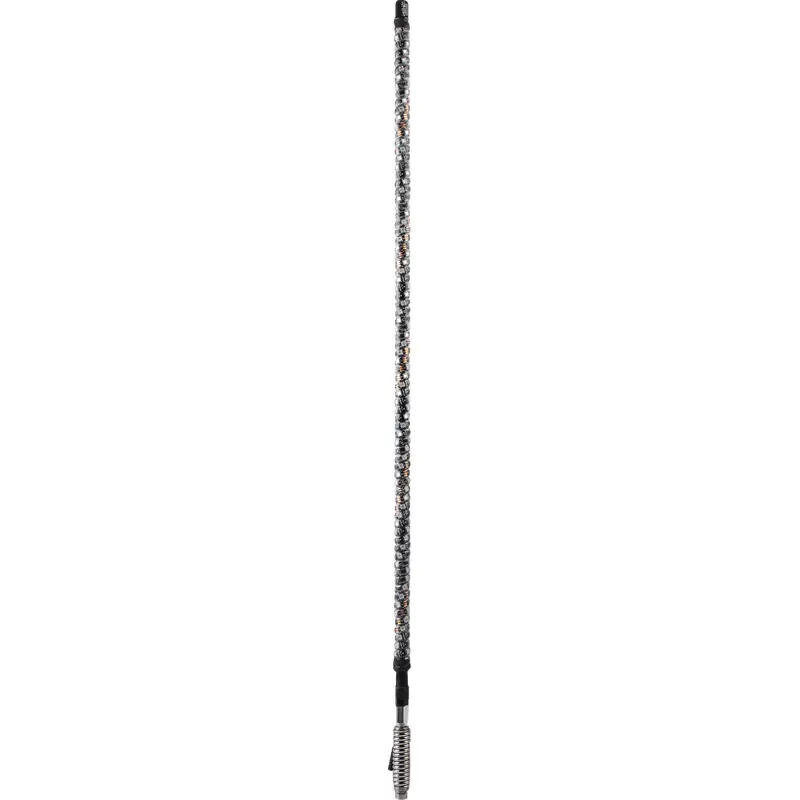 Chase Bluetooth Whip Light