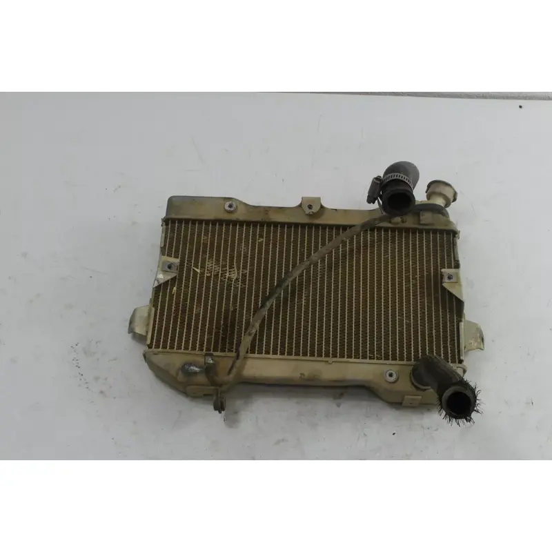 06 Suzuki Quadracer 450 Ltr450 2x4 Radiator B4282