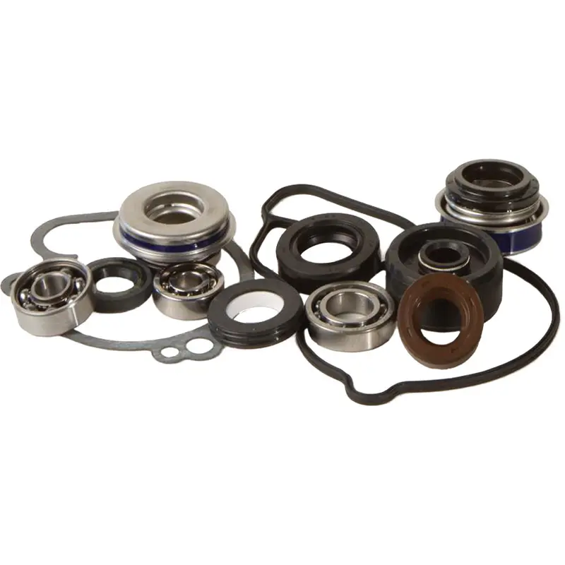 Water Pump Repair Kit