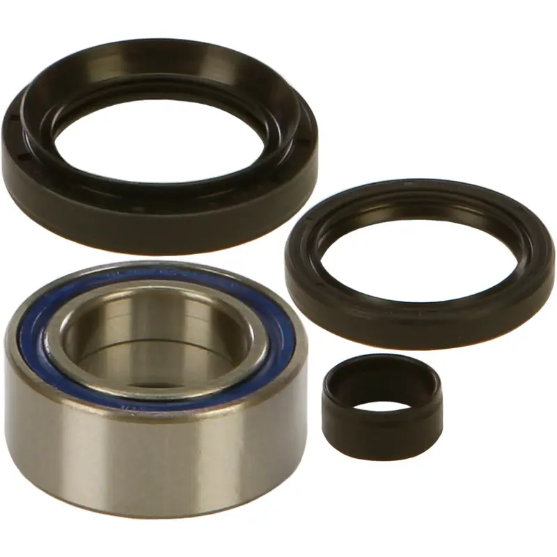 ALL BALLS WHEEL BEARING KIT