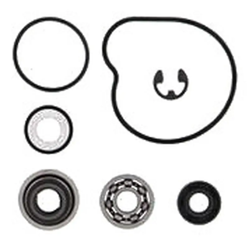 VERTEX WATER PUMP REBUILD KIT