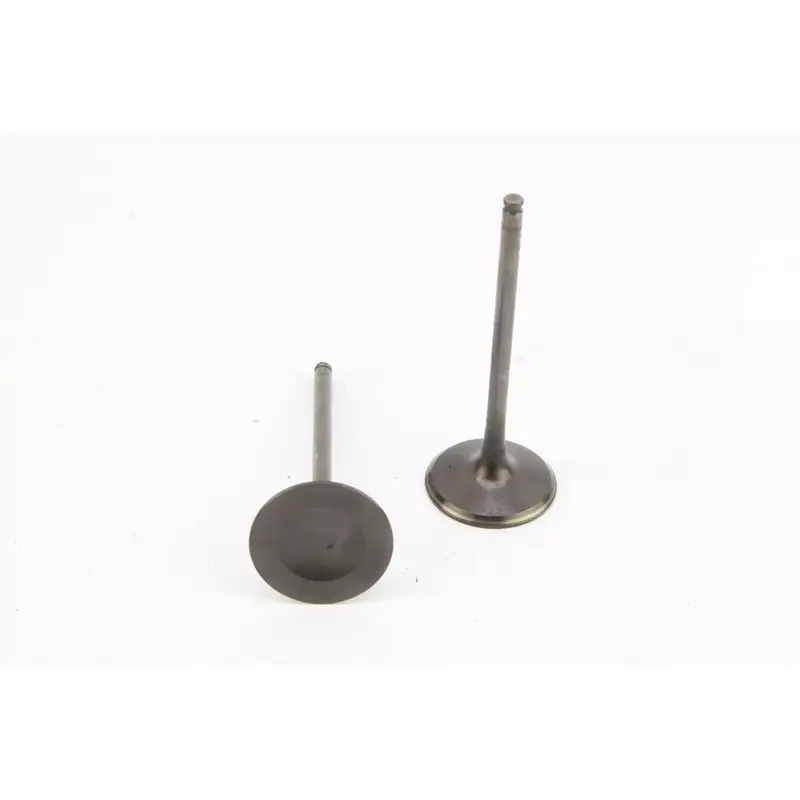 2010 Kawasaki Kfx450r Exhaust Valve H7248