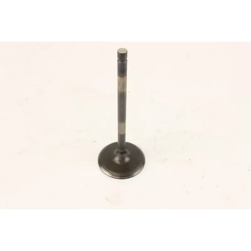2006 Yamaha Raptor 700 Yfm700r Intake Valve c7248