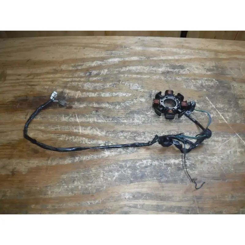 2005 TTR230 (A) Yamaha Stator Generator Ignition Harness Wiring Electrical
