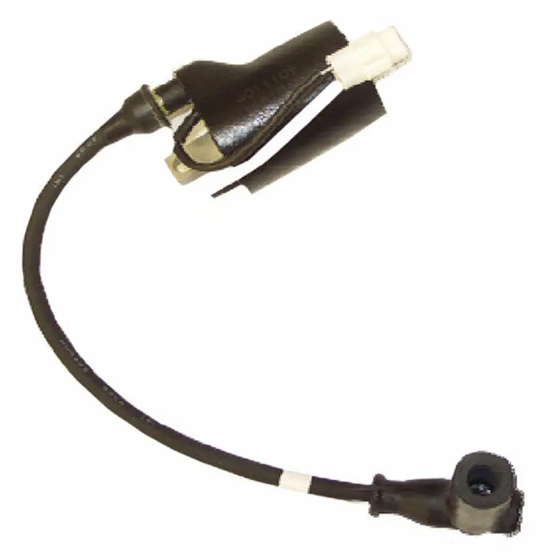COIL EXT IGN. POLARIS 700-900 (SM-01111)
