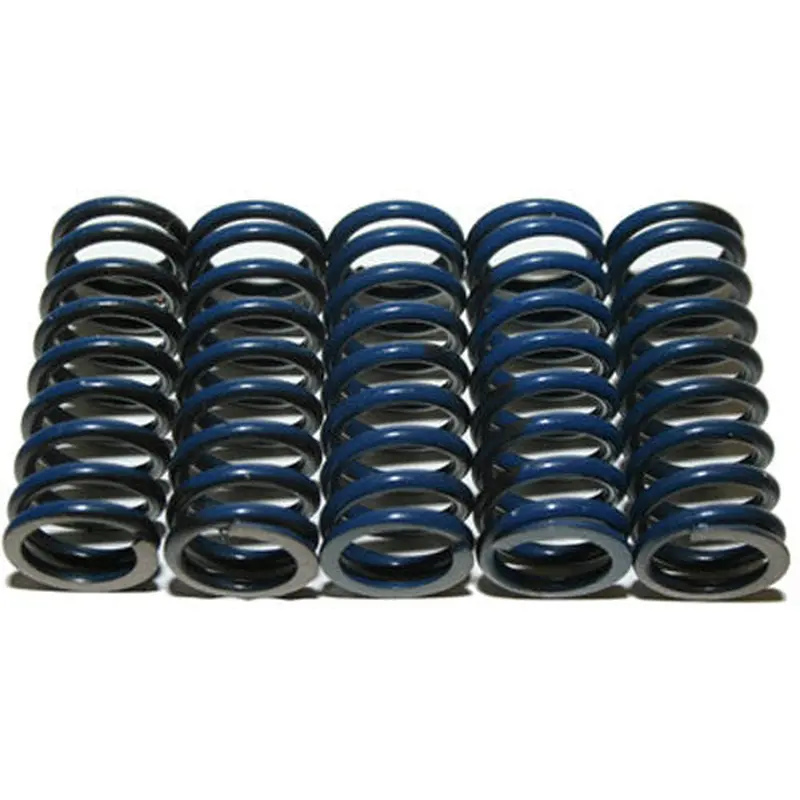 HINSON HIGH TEMP SPRINGS 5 SPRINGS CS294-5-0109