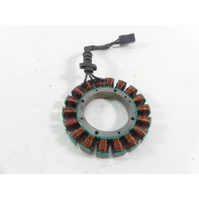 2005 Harley FXDWGI Dyna Wide Glide Stator Alternator Generator Magneto 30017-01B
