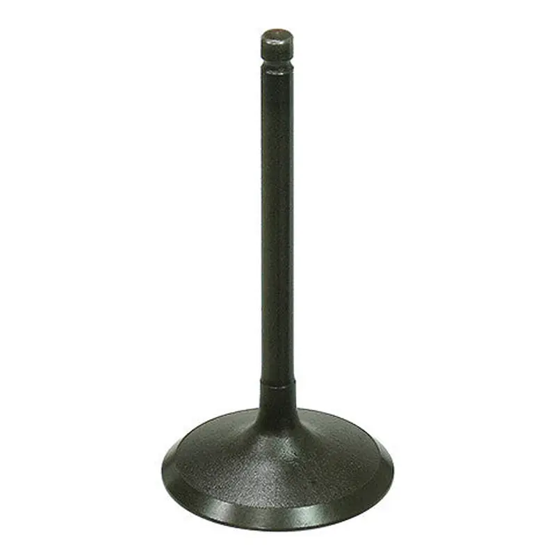 BRONCO INTAKE VALVE AU-09219I