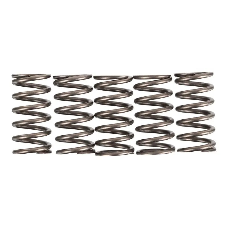 Premier Clutch Springs - Heavy Duty