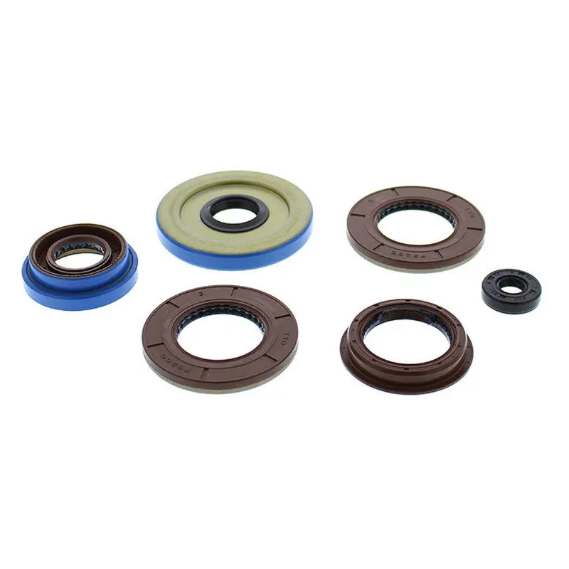VERTEX OIL SEAL SET 822198