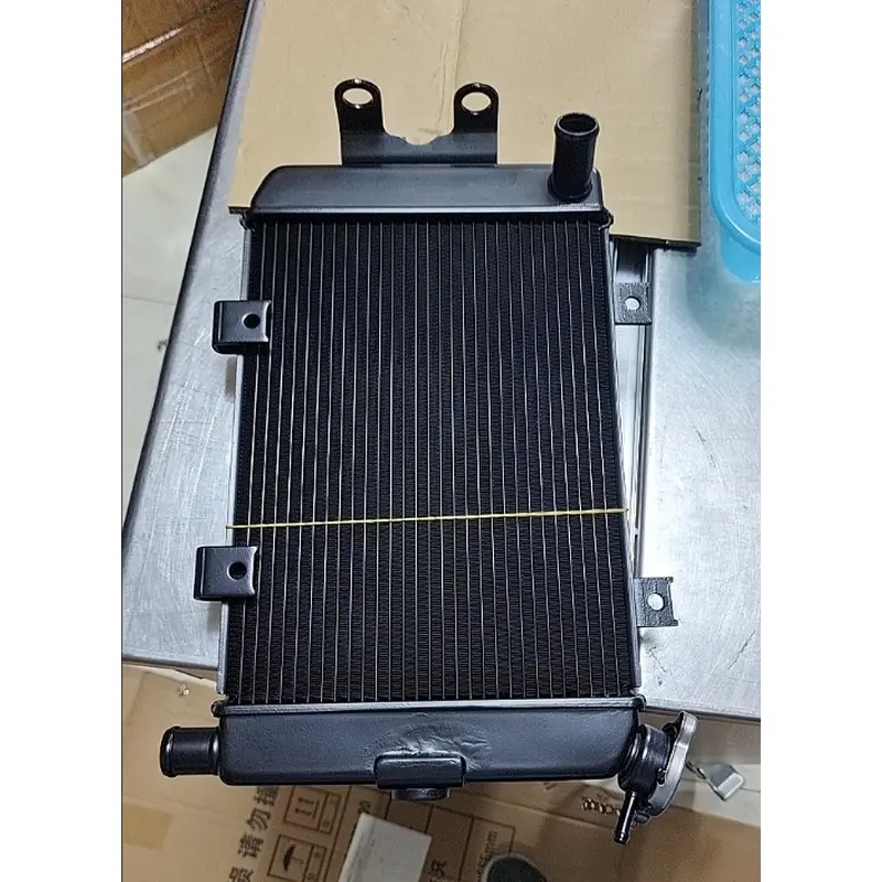 1pcs Radiator suit for CF650NK model year 2019 code is A000-180100-0B20