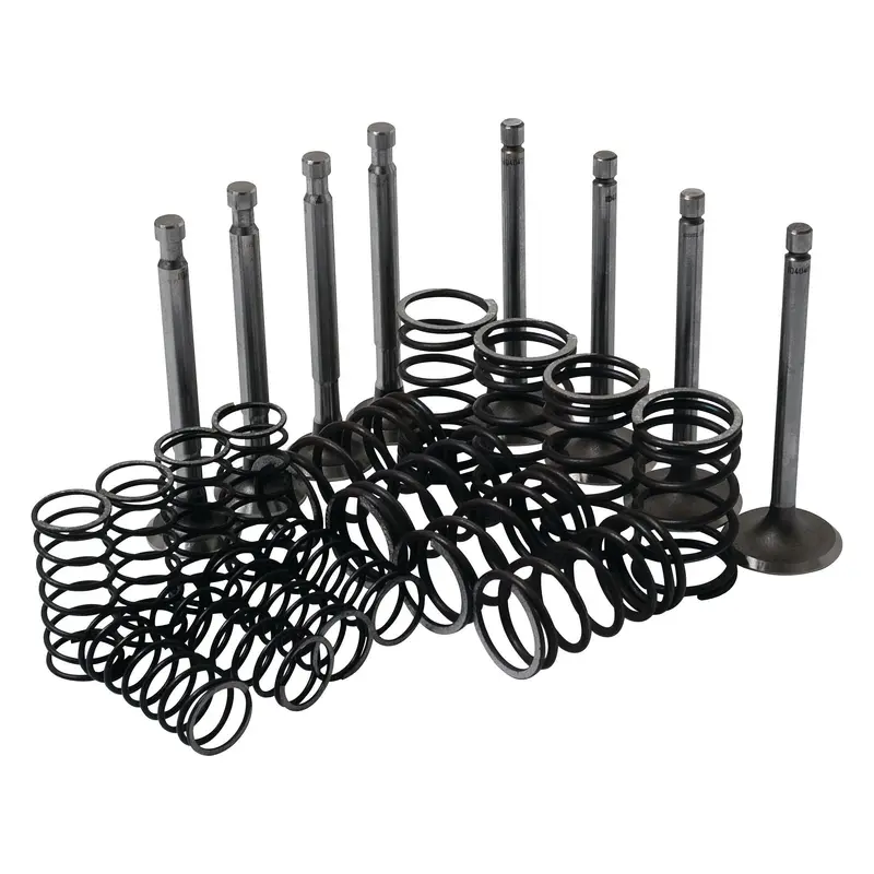 Valve Train Kit - S.41946
