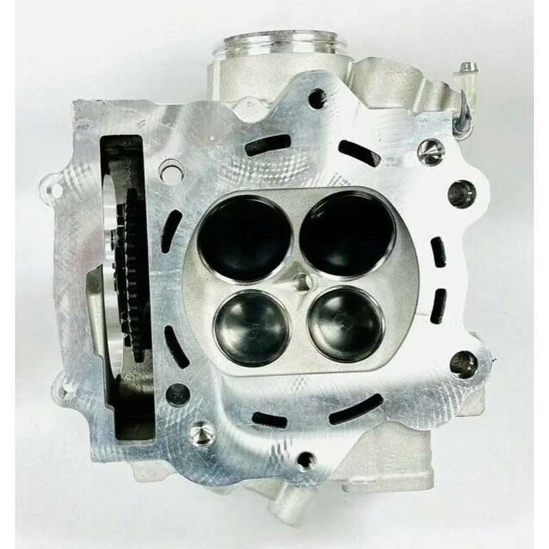 Rhino Grizzly 700 Ported Cylinder Head Assembly Port Polish Valves Hotcam Kit