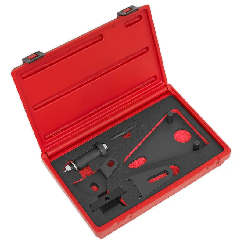 Front Pulley & Flywheel Locking Tool Set - VSE5032