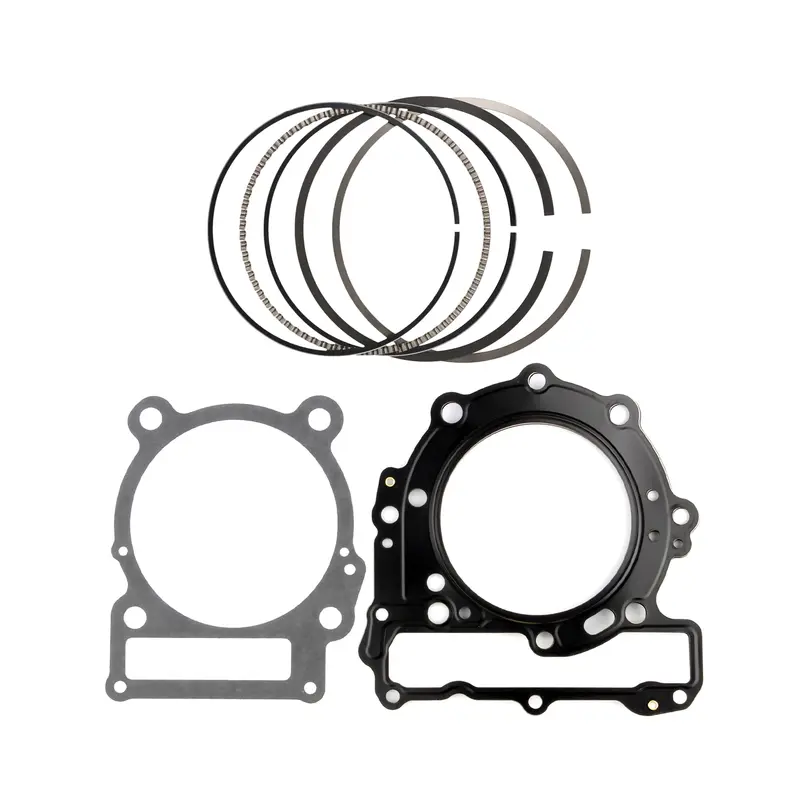 DS650 DS 650 JE Piston Rings 100mm Stock OEM Bore Ring Set Can Am Cometic Gasket