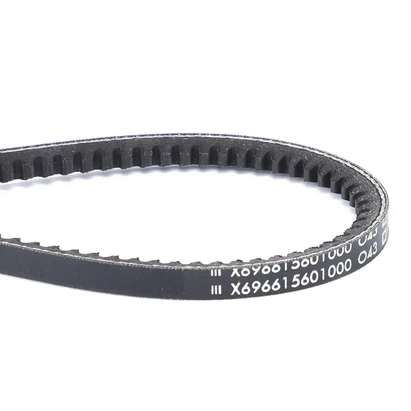AGCO | V-Belt - X696615601000