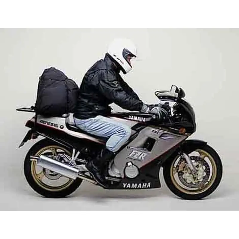 Yamaha FZR 250