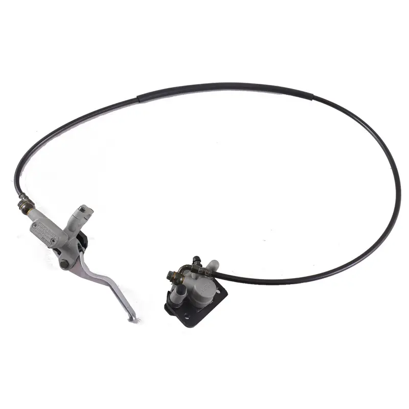 Rear Brake Assembly