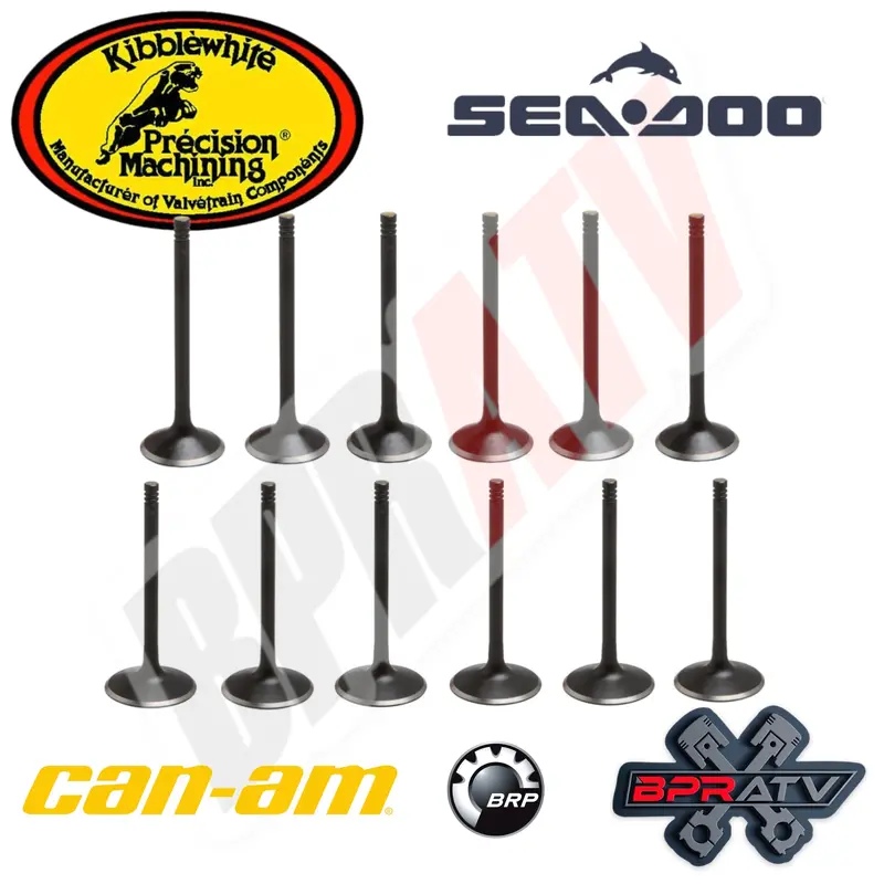 06-16 BRP Can Am Seadoo 1503 4Tec GTX Kibblewhite Standard Intake Exhaust Valves