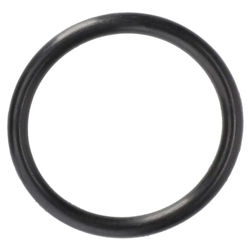 Massey Ferguson - O-RING - 70924775