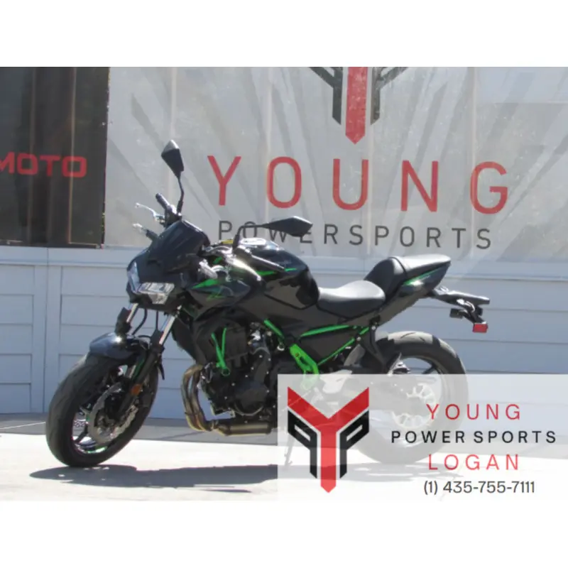 New 2025 Kawasaki Z650