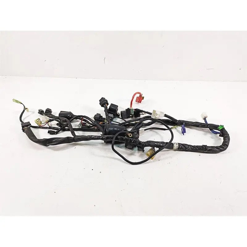 2002 Yamaha FZ1 FZS1000 Fazer Main Wiring Harness Loom - No Cuts 5LV-82590-10-00