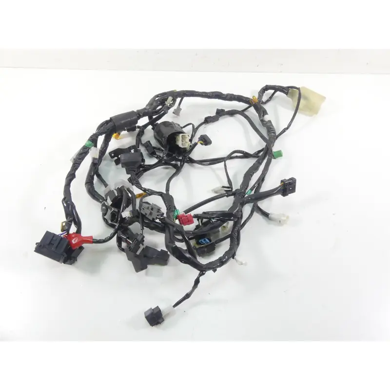 2022 Kawasaki KLR650 KL650 Adv Wiring Harness Loom - Non Abs 26031-3850
