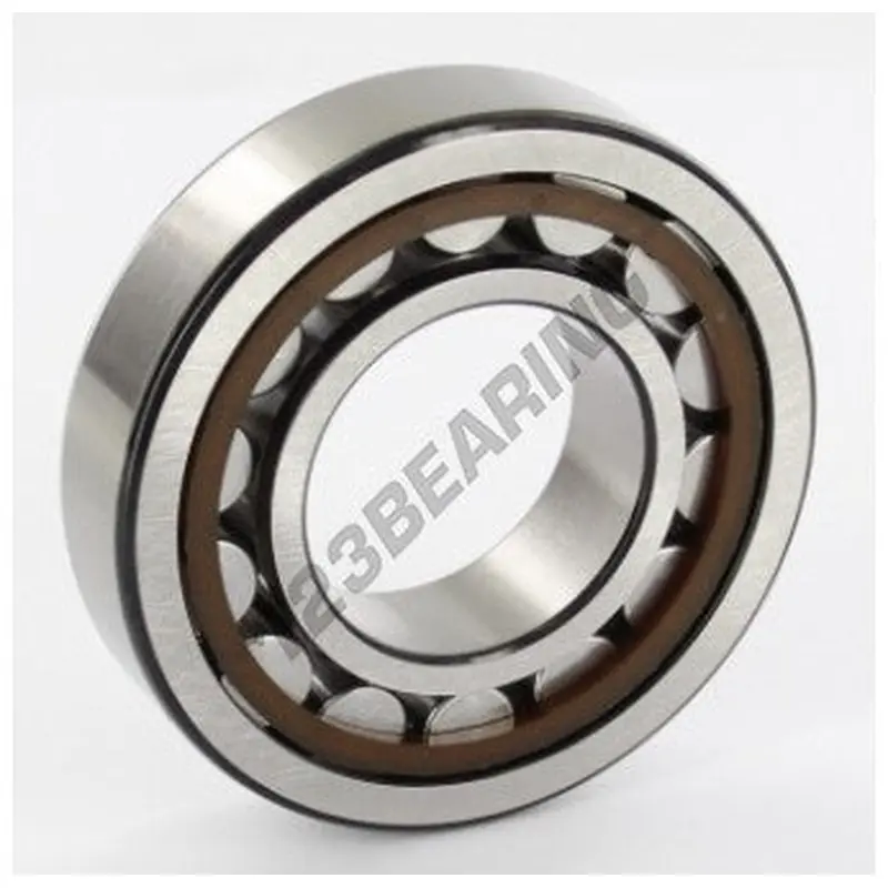 PTO Roller Bearing