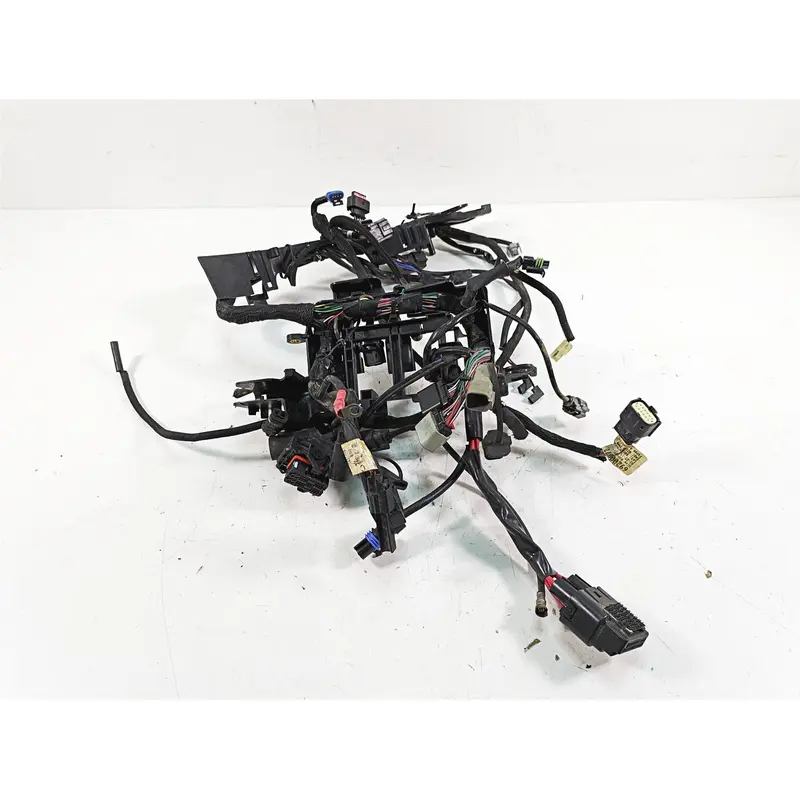2019 Harley XL883N Sportster Iron Wiring Harness Loom Non ABS & Key 69200072B